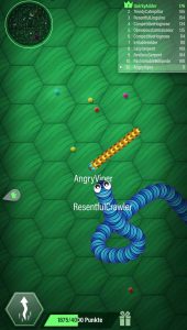 Multi_Snake_klein_Grundlagen