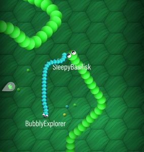 Snake_einschliessen